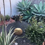 别墅 Tabaiba Lanzarote 普拉亚布兰卡