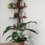 别墅 Tabaiba Lanzarote 普拉亚布兰卡
