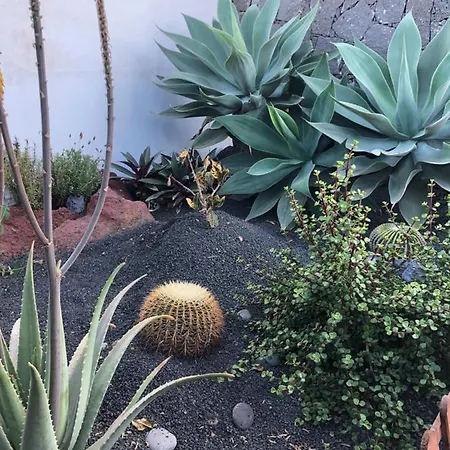 빌라 Tabaiba Lanzarote 플라야블랑카