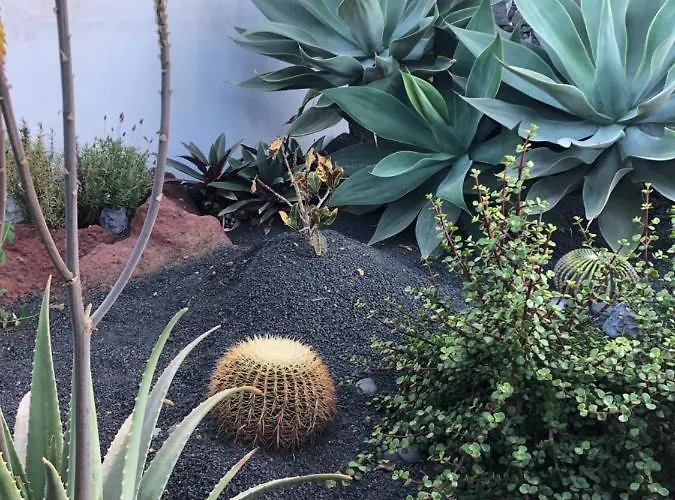 Villa Tabaiba Lanzarote Playa Blanca (Lanzarote)