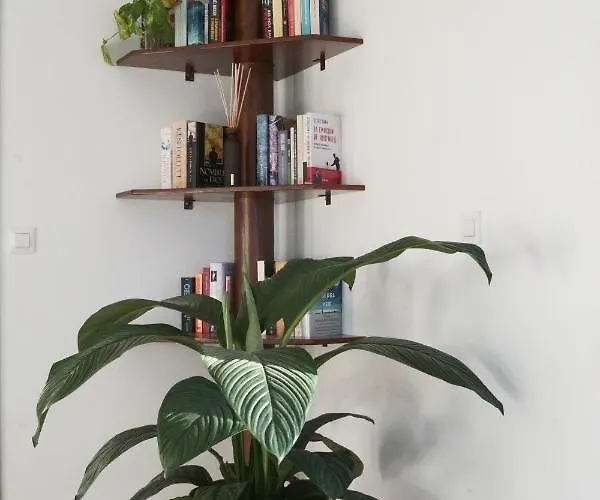 Villa Tabaiba Lanzarote Playa Blanca (Lanzarote)